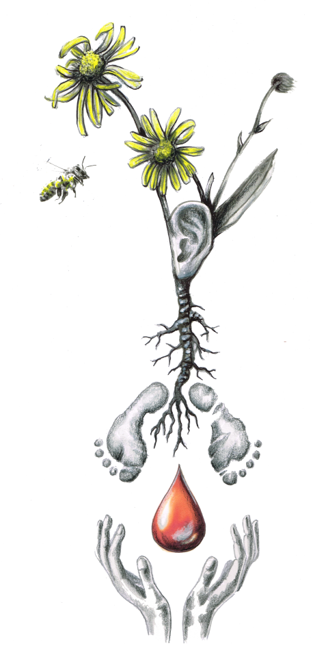 Logo Christina Schmelcher